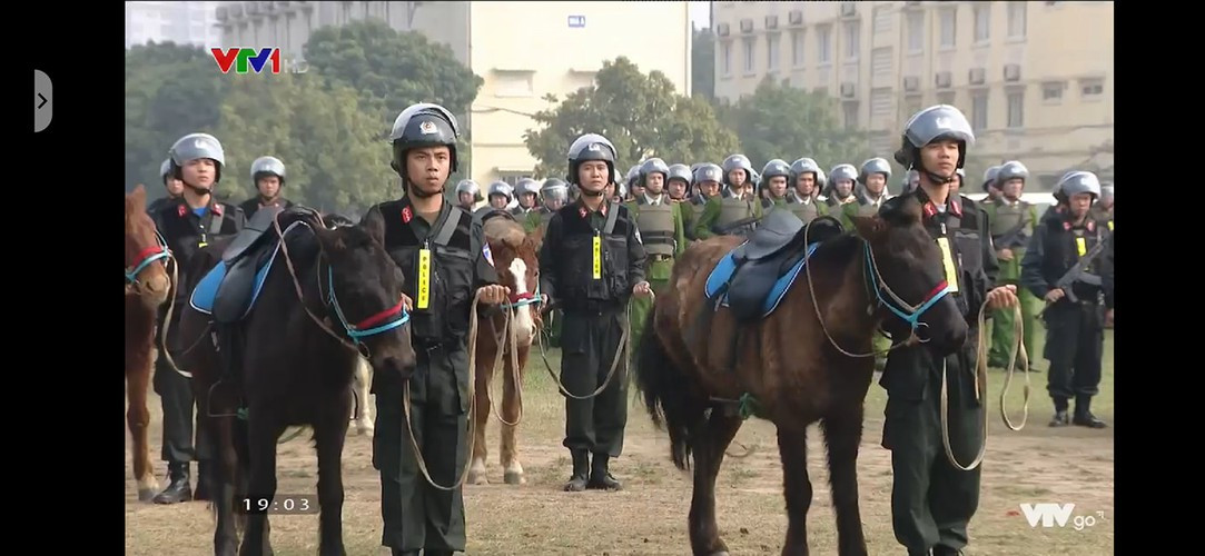 Đến nay, các cán bộ, chiến sỹ đã nắm chắc kỹ thuật cơ bản, thực hành công tác thuần hóa ngựa cũng như kỹ năng nâng cao.