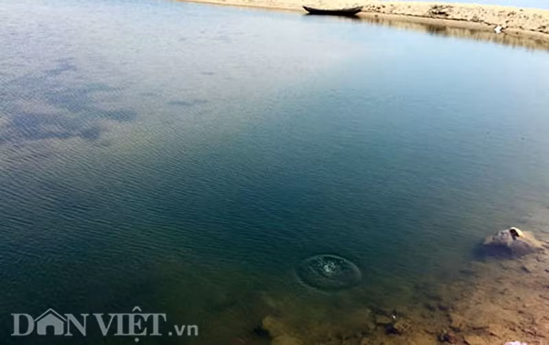 Ai tao ra ho nuoc “tu than” doat mang 9 hoc sinh Quang Ngai?-Hinh-2