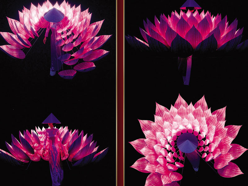 “Hoa sen” (Trương Tuấn Vũ) dù xuất hiện ở chặng cuối của vòng nhận hồ sơ song nhanh chóng nhận được sự yêu thích của khán giả nhờ phá cách khi sử dụng hình ảnh hoa sen một cách tinh tế và nghệ thuật.