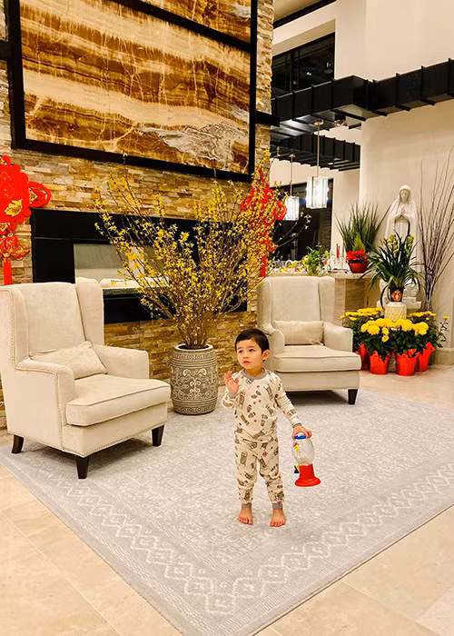 Bà xã của Đan Trường tiết lộ năm 2019, kênh Youtube của con trai nhận được trung bình 1000 USD/clip.