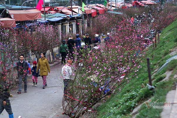 Du bao thoi tiet 20/1, Ha Noi ret cong