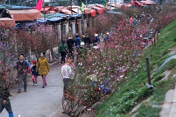 Du bao thoi tiet 20/1, Ha Noi ret cong