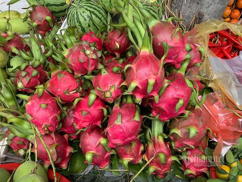 Trung Quoc ngung nhap, thanh long rot gia con 25 ngan/kg