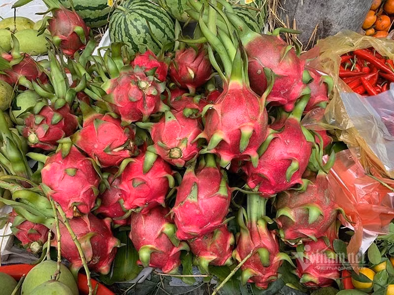 Trung Quoc ngung nhap, thanh long rot gia con 25 ngan/kg