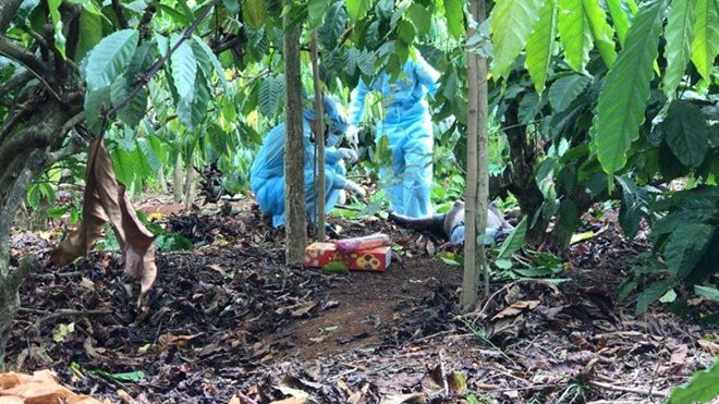 Bat duoc nghi pham sat hai co gai tre roi phi tang xac trong ray ca phe