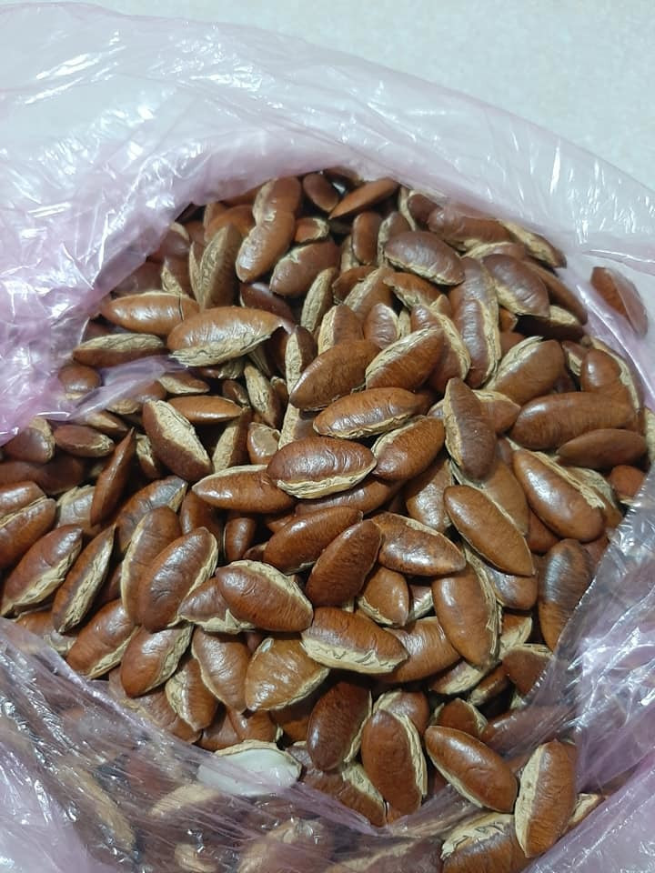 An hat Konia, Ha thanh dua nhau mua do rung dai khach ngay Tet-Hinh-3