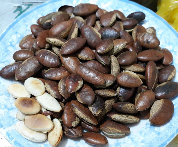 An hat Konia, Ha thanh dua nhau mua do rung dai khach ngay Tet