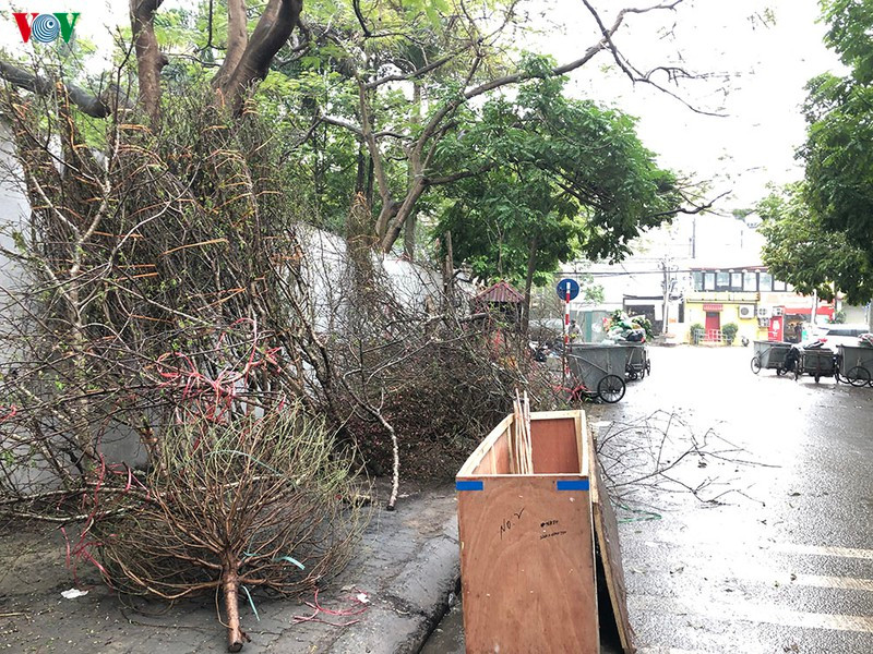 30 Tet, he pho Ha Noi ngap ngua trong rac-Hinh-14