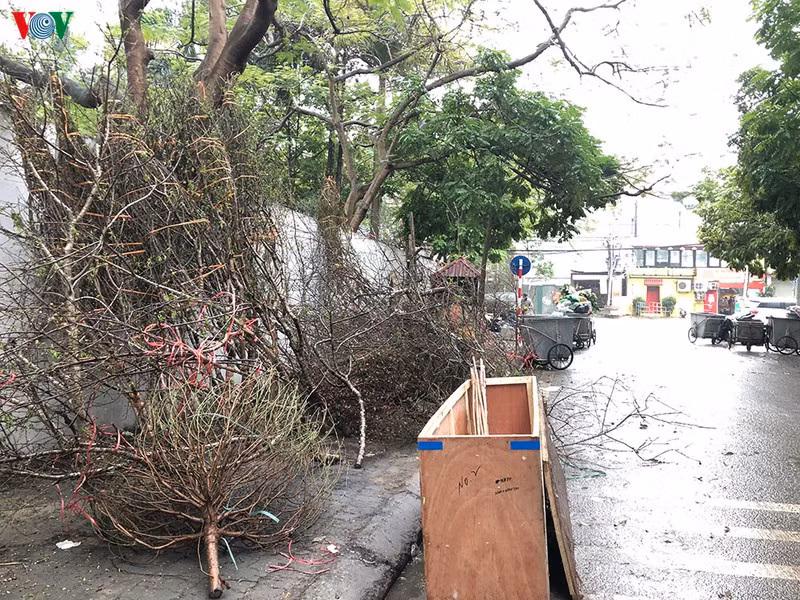 30 Tet, he pho Ha Noi ngap ngua trong rac-Hinh-14