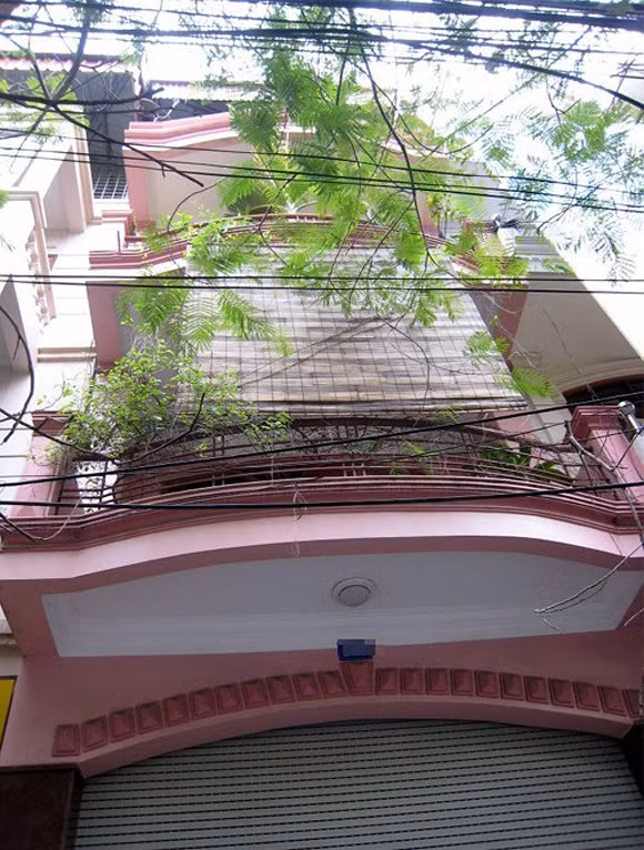 Do co ngoi cua cac nghe si dong Tao Quan: Nguoi chat choi, nguoi hoanh trang-Hinh-30