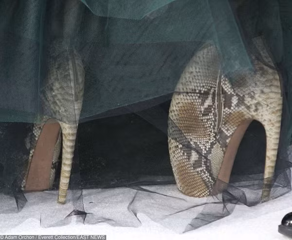 Một đôi giày thách thức, có tính chất “ngược đãi” bản thân người đi. Cụ thể, nó có chiều cao khủng cùng phần mũi vô cùng cồng kềnh. Dù vậy, sản phẩm của hãng Alexander McQueen vẫn được chào bán với giá cao ngất ngưởng.