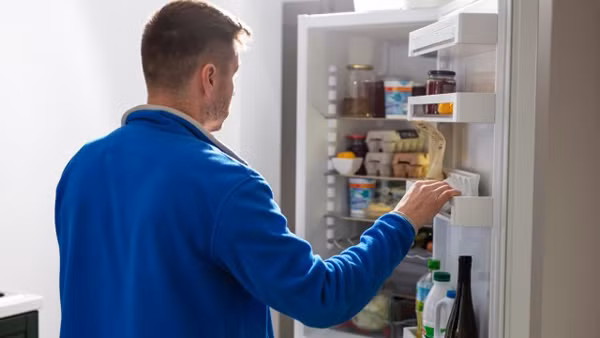 Co thu nay trong tu lanh, thuc pham tich tru mua dich se chong hong-Hinh-2