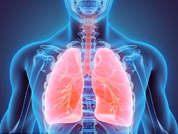 Giảm dung tích phổi Đánh giá năng lực sống cũng là một trong những dấu hiệu quan trọng để nhận định cơ thể có bị già đi hay không.