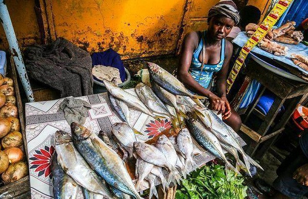 Nhiệt độ của Châu Phi rất nóng, vì thế nhiệt độ nước biển cao hơn so với những nơi khác. Nhờ vậy, các loại hải sản sinh sống ở đây lớn rất nhanh, có chất lượng tốt hơn hẳn. Nguồn cung dồi dào khiến hải sản là mặt hàng phổ biến và rẻ nhất tại các khu chợ Châu Phi, người nghèo thường mua về làm thức ăn.