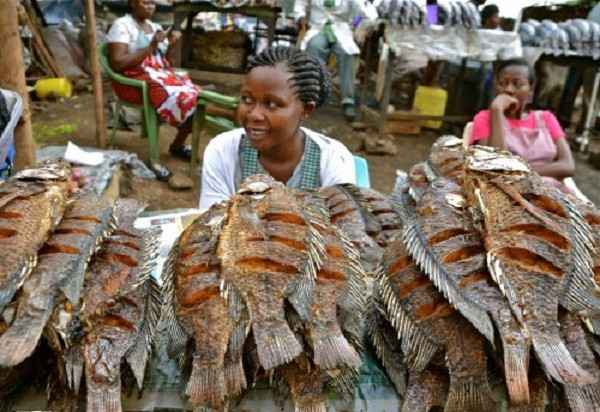Nhận định trên khiến không ít người ngạc nhiên. Nguyên nhân bởi nhiều người luôn nghĩ rằng Châu Phi là vùng đất đói nghèo, người dân bản địa phải tận dụng thịt chuột, dơi, thậm chí là muỗi để làm thức ăn. Sự thực là hầu hết các quốc gia ở Châu Phi đều nghèo. Vậy nhưng nhiều vùng biển ở Châu Phi có nguồn hải sản vô cùng phong phú.