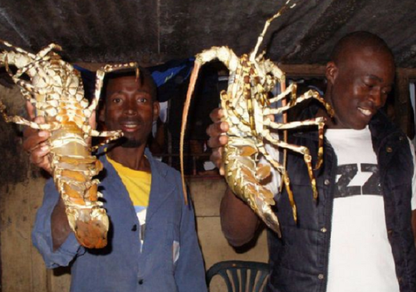 Hàng năm, có rất nhiều trẻ em nhập viện trong tình trạng táo bón nặng vì suốt thời gian dài không được ăn rau xanh hay củ quả. Ảnh: Internet