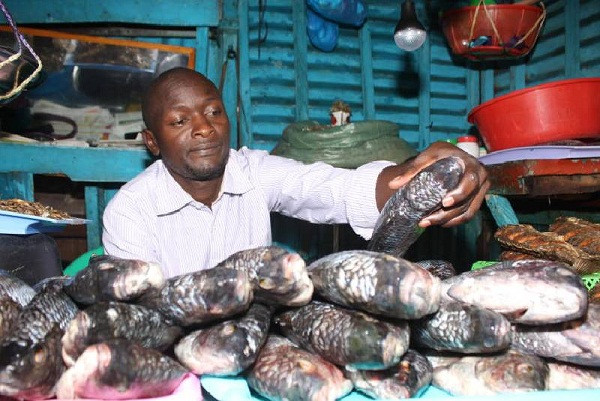 Ngoài yếu tố hương vị, ăn nhiều hải sản khiến họ đối diện với nhiều mối nguy sức khỏe. Theo số liệu ghi chép, tỷ lệ người Châu Phi mắc bệnh gout khá cao.