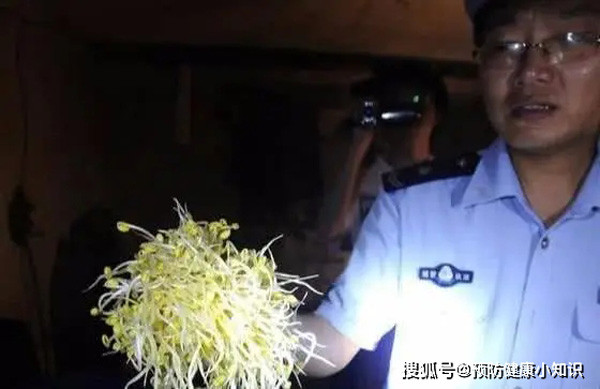 Giá đỗ không rễ. Giá đỗ rất có lợi cho sức khỏe song nếu sản xuất không đảm bảo lại tiềm ẩn nguy cơ gây bệnh. Đặc biệt, khi người bán hàng sử dụng bột tẩy trắng công nghiệp để xử lý giá đỗ thì vô cùng nguy hại. Bột tẩy trắng chủ yếu dùng trong ngành nhuộm, khử trùng. Sử dụng để làm giá đỗ sạch, sáng đẹp mắt song lại có thể gây tổn thương hầu họng, thực quản, niêm mạc dạ dày và gan.