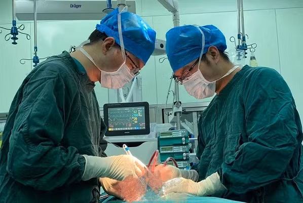 An tom tam bo, me tre gap rut len ban mo gianh giat su song