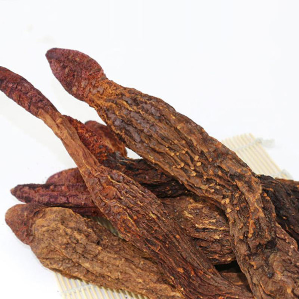 Nấm chủ yếu sinh sống và phát triển tại các khu rừng có độ ẩm thấp, vùng núi cao hơn 1500m so với mặt nước biển. Tại Việt Nam, nấm ngọc cẩu có nhiều ở các tỉnh phía Bắc như Tam Đảo, Cao Bằng, Yên Bái, Ba Vì, Lào Cai, Sapa, Hoàng Liên Sơn, Hoà Bình.