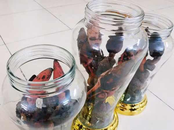 Điều đáng nói, tác dụng của loại cây này chỉ ở mức độ vừa phải, không “dữ dội” như những thông tin được truyền tai.