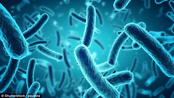 Gian cach tru dong thit an dan... qua thoi gian nay bang an doc vao nguoi-Hinh-2