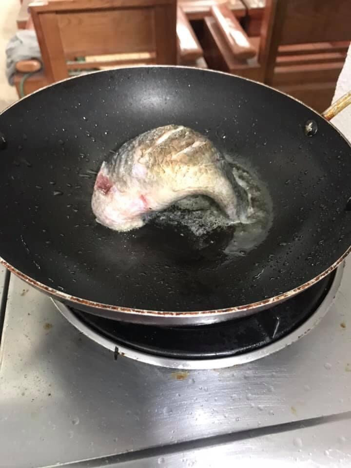 Một chú cá kháng cự đến cùng