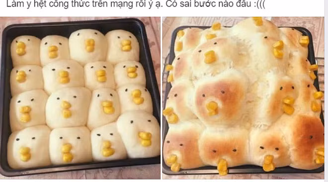 Những chú gà này có lẽ ăn tăng trọng nên hơi phát tướng.