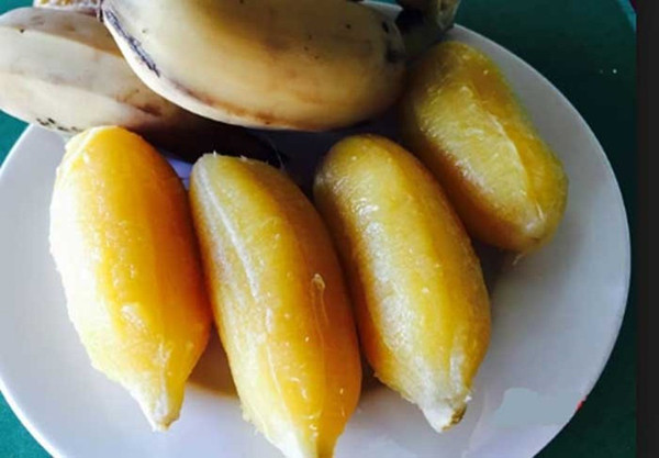 Vậy nhưng, chuối có tính lạnh nên không thích hợp với những người tỳ vị hư, tiêu chảy. Đây được xem là một trong những loại trái cây nên làm chín để thưởng thức. Người thể trạng yếu, hay bị lạnh tốt nhất nên luộc chín rồi mới thưởng thức. Khi thực hiện, bạn có thể cắt chuối thành từng miếng, cho vào tô hấp chín hoặc cắt miếng để nấu súp.