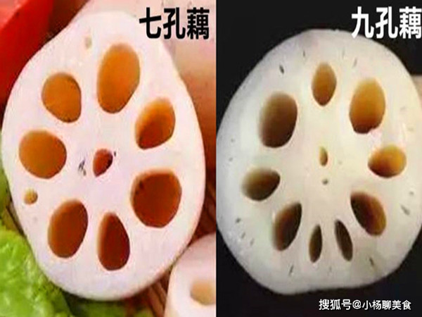 Củ sen 7 lỗ nhìn bề ngoài có màu vàng nâu, ngắn, mập mạp. Ăn sống củ sen 7 lỗ sẽ có vị đắng chát do loại này có hàm lượng tinh bột cao, ít nước.