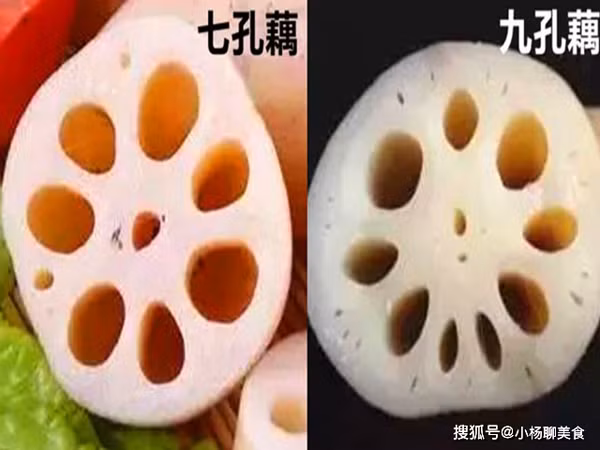 Củ sen 7 lỗ nhìn bề ngoài có màu vàng nâu, ngắn, mập mạp. Ăn sống củ sen 7 lỗ sẽ có vị đắng chát do loại này có hàm lượng tinh bột cao, ít nước.