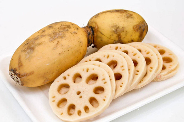 Củ sen là phần thân rễ ăn được của cây sen (Nelumbo nucifera). Củ sen là nguyên liệu rất được ưa chuộng trong các món ăn của Việt Nam, Trung Quốc, Hàn Quốc, Ấn Độ và Nhật Bản. Thường xuyên ăn củ sen, bạn sẽ nhận được nhiều lợi ích sức khỏe.