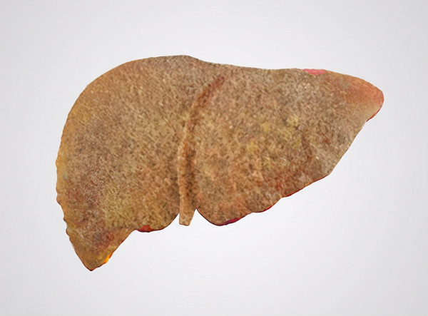 Được biết, aflatoxin (AFT) là độc tố vòng difuran được tạo ra bởi một số chủng như Aspergillus flavus và Aspergillus parasiticus. Hiện có khoảng 20 dẫn xuất của chất này, chúng có đặc trưng mang độc tính cao và khả năng gây ung thư mạnh.