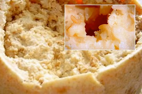 Nó chứa ấu trùng sống (giòi), được đưa vào pho mát để thúc đẩy mức độ lên men thông thường đến giai đoạn phân hủy.