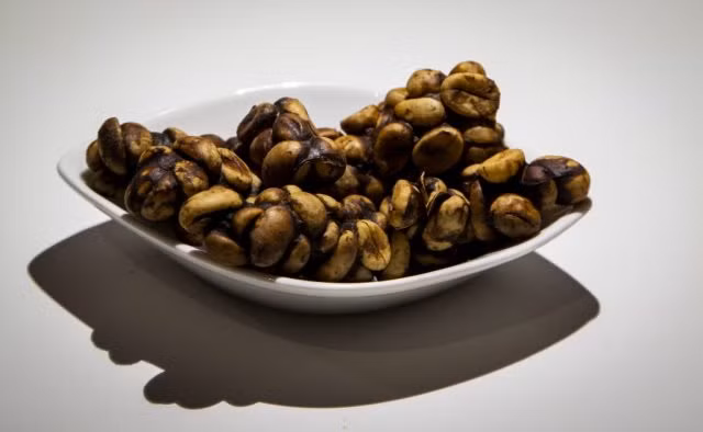 Cà phê chồn, món cà phê đã không còn xa lạ với nhiều người Việt Nam.