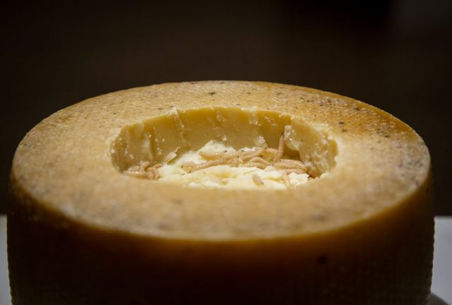 Casu marzu, được dịch theo nghĩa đen là "pho mát thối", là một đặc sản của Sardinia được làm từ pho mát sữa cừu.