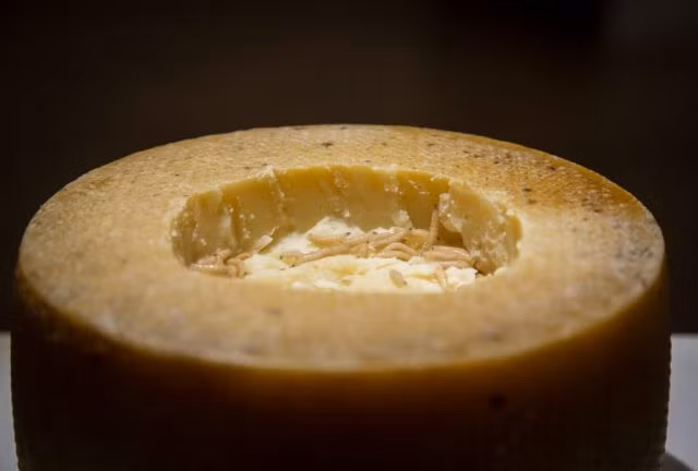 Casu marzu, được dịch theo nghĩa đen là "pho mát thối", là một đặc sản của Sardinia được làm từ pho mát sữa cừu.