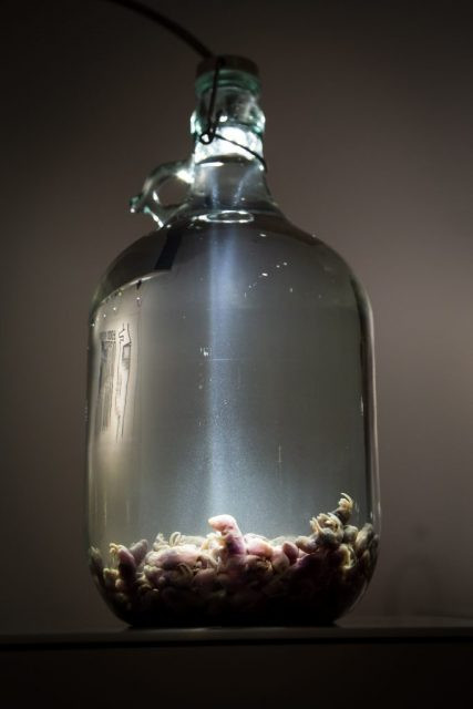 Một đặc sản khác ở Trung Quốc và Hàn Quốc, rượu chuột được làm bằng cách ngâm rượu gạo với chuột con 2 ngày tuổi và để chúng lên men trong khoảng 1 năm.