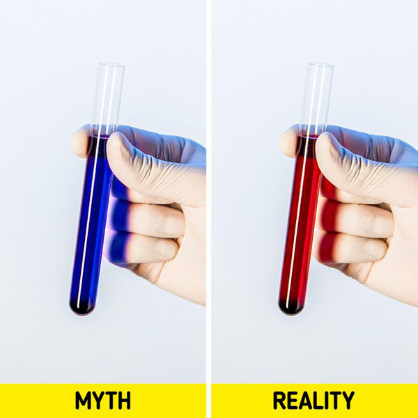 Máu chuyển màu xanh khi tiếp xúc với oxy. Điều phi lý về cơ thể này bắt nguồn từ việc nhiều người nhìn thấy mạch máu dưới da của họ có màu xanh lam. Các nhà khoa học lý giải, màu xanh thực chất là ảo ảnh quang học. Khi ở trong tĩnh mạch, máu sẽ có màu đỏ sẫm và chuyển thành màu đỏ anh đào khi tiếp xúc với oxy.