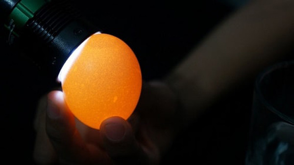 Loai trung tuyet doi khong an, gia beo cung khong mua mua dich-Hinh-12