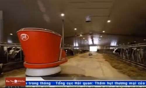 Robot vat sua bo hoat dong uu viet the nao?