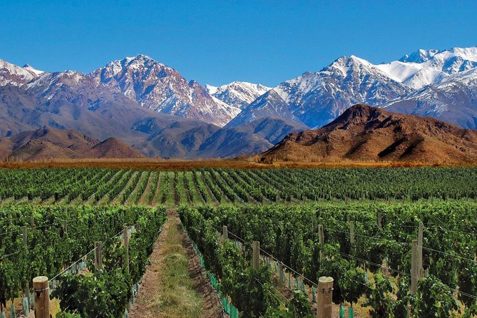 Thành phố Mendoza được coi là trái tim của ngành công nghiệp sản xuất rượu vang tại Argentina. Nơi đây có các vườn nho được trồng trên địa điểm cao nhất thế giới. Vì vậy, các tour du lịch tham quan vườn nho luôn hút khách. Ngoài ra, du khách có thể tham gia đua thuyền, trượt tuyết... khi đến Mendoza.