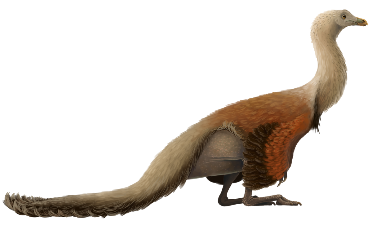 Theo các dữ liệu, vào cuối kỷ Phấn Trắng, Bắc Mỹ bị một con đường biển chia cắt thành 2 vùng đất gồm: Laramidia ở phía tây và Appalachia ở phía đông.