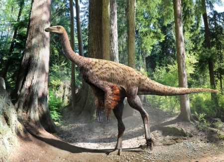 Thêm nữa, các hóa thạch bao gồm cả xương bàn chân mang đến những thông tin quý giá giúp giới khoa học hiểu hơn về một giai đoạn tiến hóa còn nhiều bí ẩn của khủng long ở Bắc Mỹ.