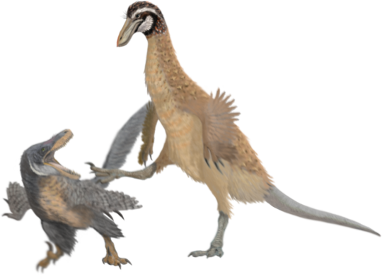 Trong nghiên cứu của nhóm chuyên gia Chinzorig, những hóa thạch được phát hiện thuộc về khủng long Ornithomimosauria đến từ Hệ tầng Eutaw ở Mississippi.