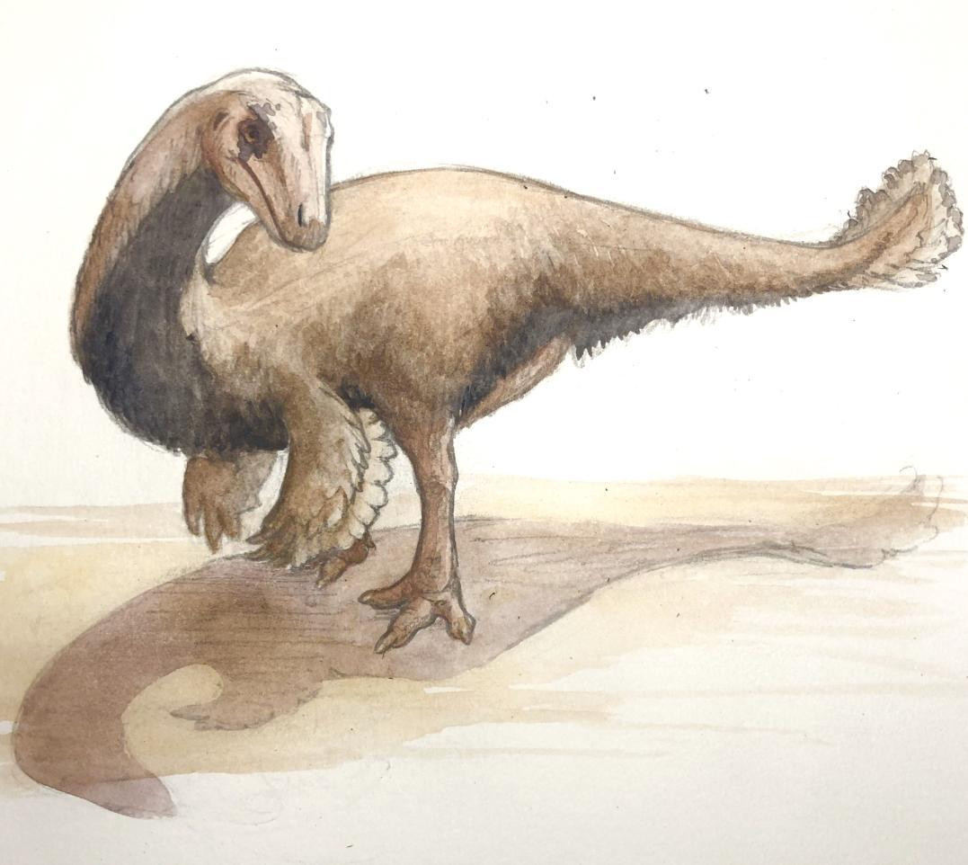 Do rất ít hóa thạch được tìm thấy ở Appalachia nên giới khoa học hiện vẫn chưa thể giải mã khoa học về các hệ sinh thái cổ đại tại đây.