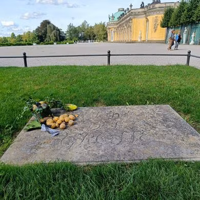 Trong khi đó, Friedrich Đại đế nghiên cứu về khoai tây và phát hiện đó là loại cây có giá trị cao về dinh dưỡng và kinh tế. Ông muốn loại cây này được trồng khắp nước. Theo đó, vào năm 1756, ông trồng một cánh đồng khoai tây lớn ở một ngôi làng.