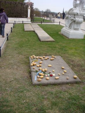 Không bỏ cuộc, Friedrich Đại đế nghĩ ra cách tuyên truyền khác. Ông tuyên bố khoai tây là "một loại rau hoàng gia" cũng như trồng loại cây này trong cung điện cho quân đội canh gác ở những nơi trồng khoai tây. Thú vị hơn là Friedrich Đại đế hạ lệnh cho binh sĩ giả vờ lơ là nhiệm vụ canh giữ để một vài người dân vào trộm khoai tây. Quả thật, một số người đã lẻn vào vườn và trộm khoai tây vì muốn ăn thử món được chế biến cho nhà vua.