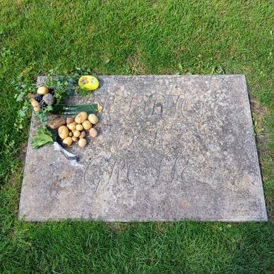 Vào thế kỷ 16, các nhà thám hiểm Tây Ban Nha đã mang khoai tây từ Nam Mỹ sang châu Âu. Tuy nhiên, khoai tây mãi vẫn chưa xuất hiện phổ biến ở các vùng phía Bắc châu Âu. Cây khoai tây khi ấy thi thoảng chỉ được trưng bày trong vườn bách thảo. Nhiều người đều dân nghĩ rằng đó chỉ là một loại cây có những bông hoa đẹp.