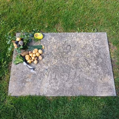 Vào thế kỷ 16, các nhà thám hiểm Tây Ban Nha đã mang khoai tây từ Nam Mỹ sang châu Âu. Tuy nhiên, khoai tây mãi vẫn chưa xuất hiện phổ biến ở các vùng phía Bắc châu Âu. Cây khoai tây khi ấy thi thoảng chỉ được trưng bày trong vườn bách thảo. Nhiều người đều dân nghĩ rằng đó chỉ là một loại cây có những bông hoa đẹp.